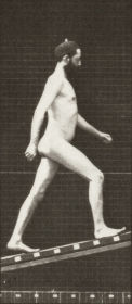 Plate 75 Ascending an incline — figure reference